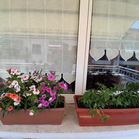 Monnalisa Appartamento *